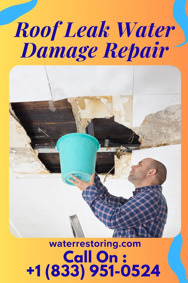Roof Leak Water Damage Repair in Keats, KS